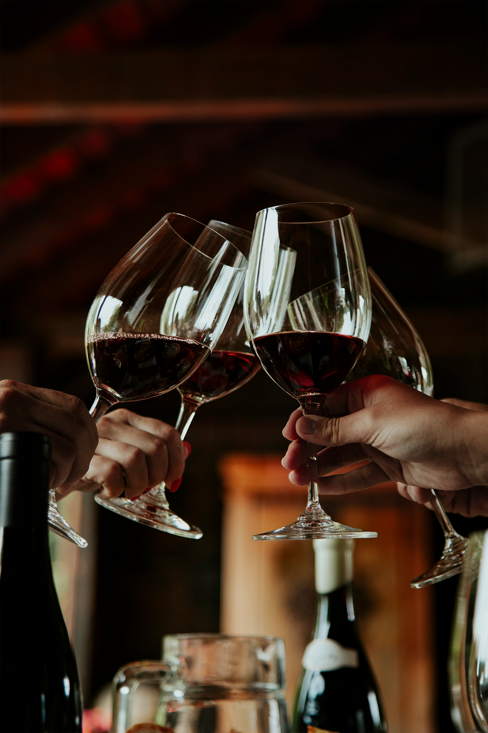 Infinitude Wines